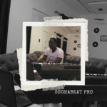 SEGHABEAT PRO